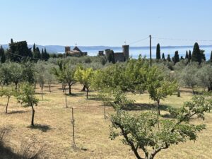 Bolsena town